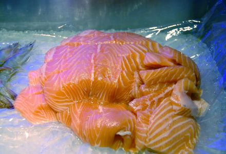 asia_gourmet_buffet_fisch_11.jpg